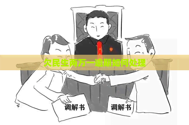 欠民生两万一逾期如何处理