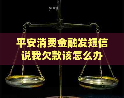 平安消费金融发短信说我欠款该怎么办
