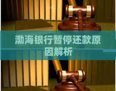 渤海银行暂停还款原因解析