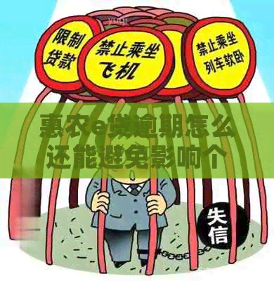 惠农e贷逾期怎么还能避免影响个人信用