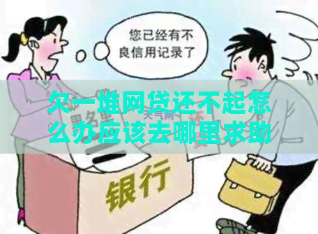 欠一堆网贷还不起怎么办应该去哪里求助