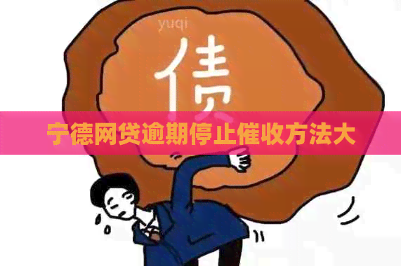 宁德网贷逾期停止方法大