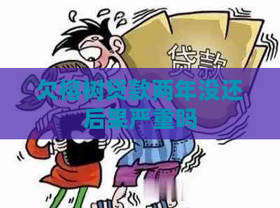 欠榕树贷款两年没还后果严重吗