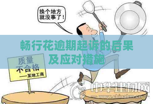 畅行花逾期起诉的后果及应对措施