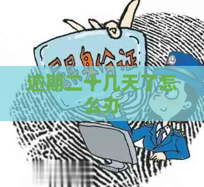 逾期二十几天了怎么办