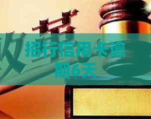 招行信用卡逾期6天