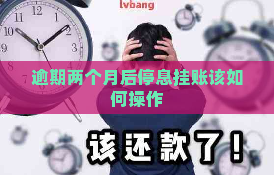 逾期两个月后停息挂账该如何操作