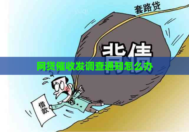网贷发调查通知怎么办