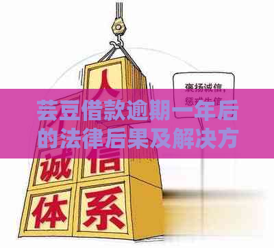 芸豆借款逾期一年后的法律后果及解决方法