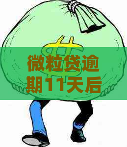 微粒贷逾期11天后会有什么后果