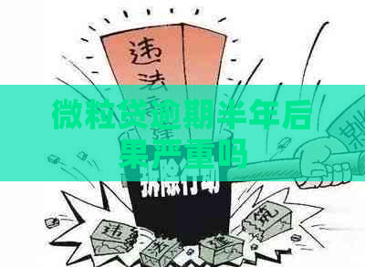 微粒贷逾期半年后果严重吗