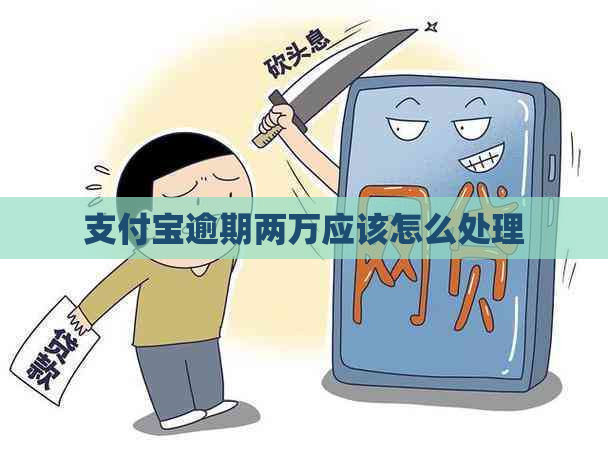 信用卡逾期两万应该怎么处理