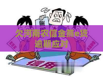 欠河南农信金燕e贷逾期应对