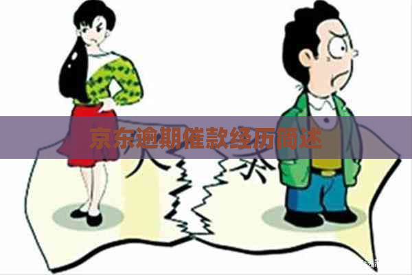 京东逾期催款经历简述