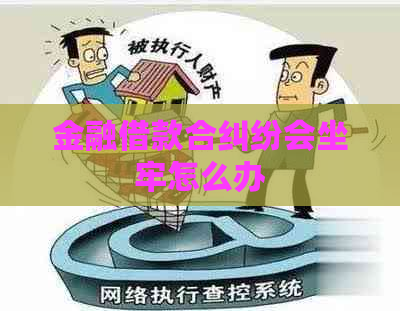 金融借款合纠纷会坐牢怎么办