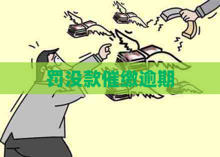罚没款催缴逾期