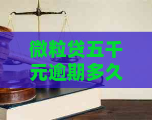 微粒贷五千元逾期多久会被起诉