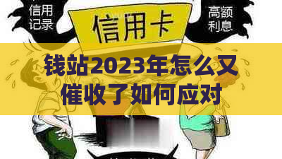 钱站2023年怎么又了如何应对