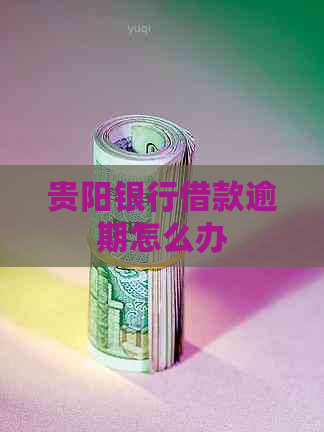 贵阳银行借款逾期怎么办