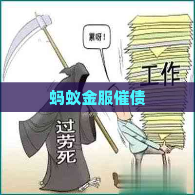 蚂蚁金服催债