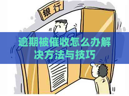 逾期被怎么办解决方法与技巧