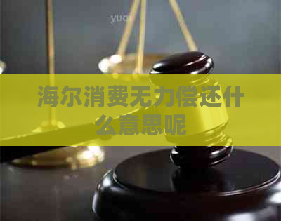 海尔消费无力偿还什么意思呢