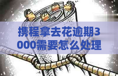 携程拿去花逾期3000需要怎么处理