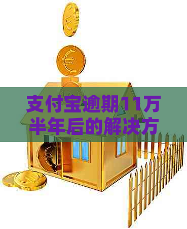 信用卡逾期11万半年后的解决方法