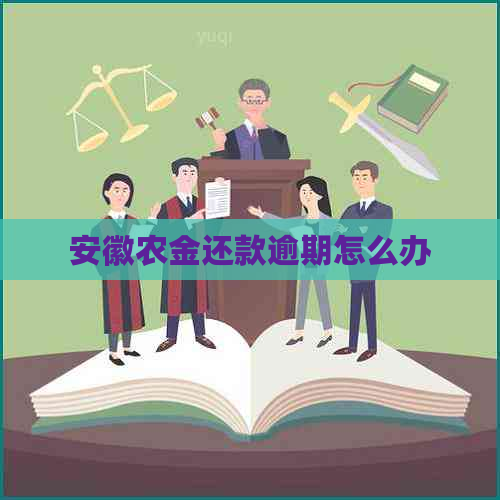 安徽农金还款逾期怎么办