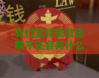 信用卡和微款逾期不还会有什么后果