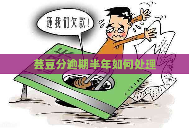 芸豆分逾期半年如何处理