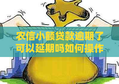 农信小额贷款逾期了可以延期吗如何操作