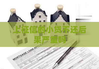 上的小贷不还后果严重吗