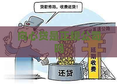 向心贷是正规公司吗