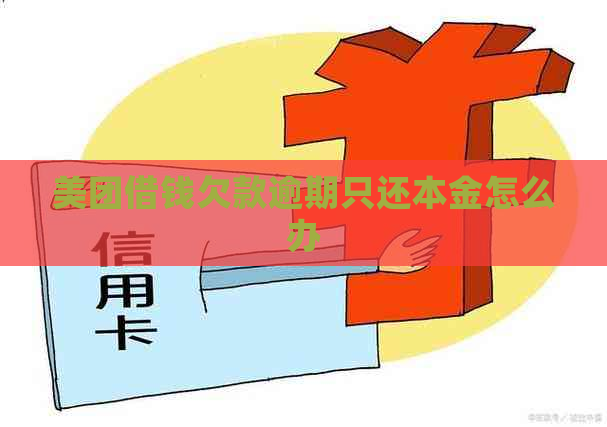 美团借钱欠款逾期只还本金怎么办