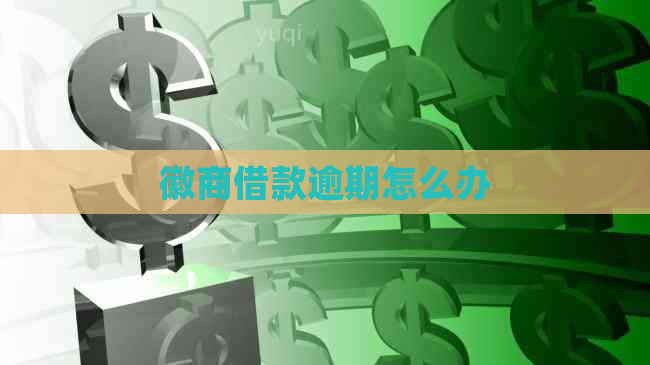 徽商借款逾期怎么办