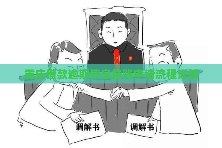 重庆借款逾期停息挂账申请流程详解