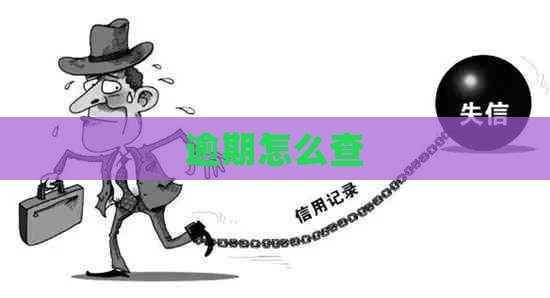 逾期怎么查