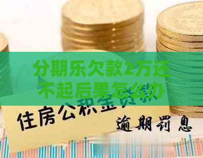 欠款2万还不起后果怎么办