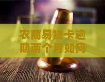 农商易贷卡逾期两个月如何处理