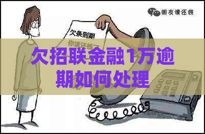 欠招联金融1万逾期如何处理