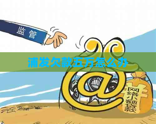 浦发欠款五万怎么办