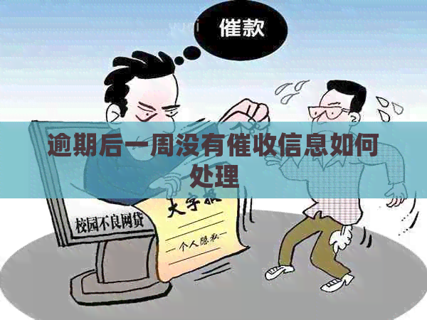 逾期后一周没有信息如何处理