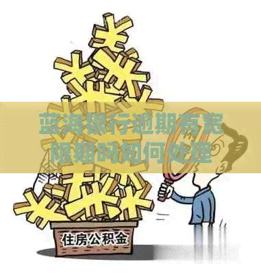 蓝海银行逾期有宽限期吗如何处理
