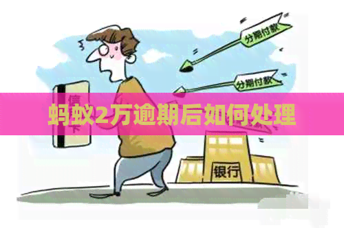 蚂蚁2万逾期后如何处理