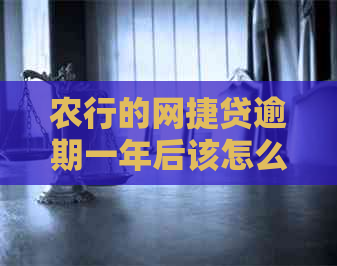 农行的网捷贷逾期一年后该怎么办