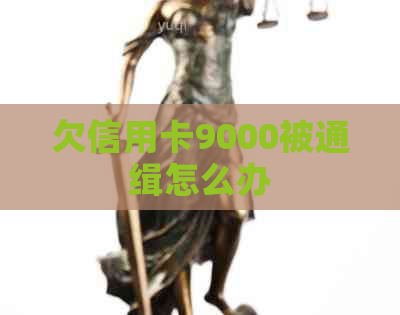 欠信用卡9000被通缉怎么办