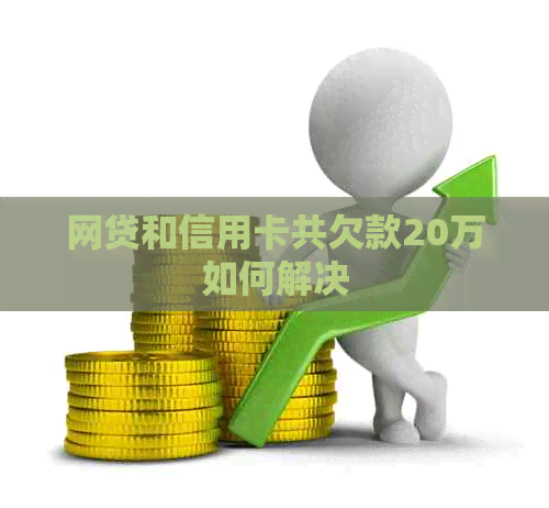 网贷和信用卡共欠款20万如何解决