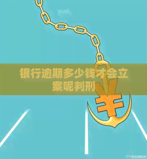 银行逾期多少钱才会立案呢判刑