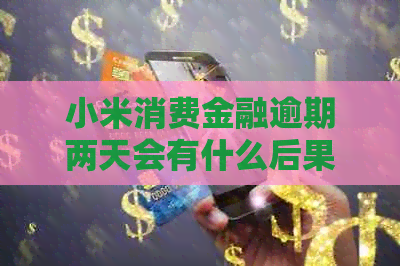 小米消费金融逾期两天会有什么后果